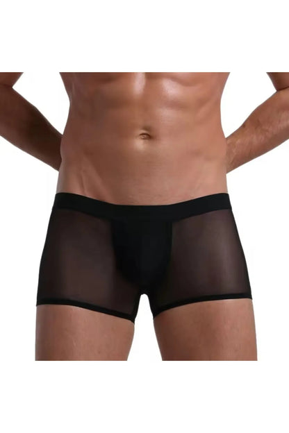 Fantezi Transparan Tül Erkek Boxer Fantezi Tanga
