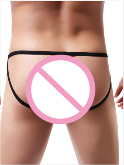 Fantezi Arkası Açık Seksi File Erkek Kilot ( PEDSİZ )