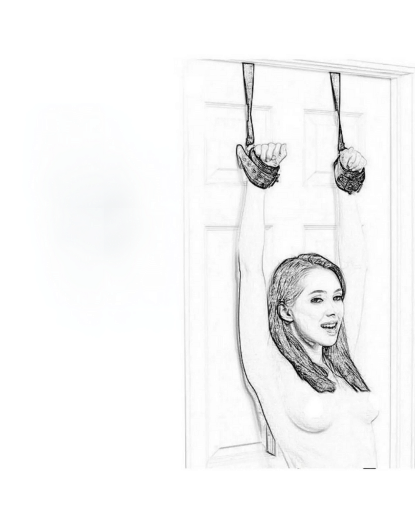 FANTEZİ SEKSİ KAPI ASKISI