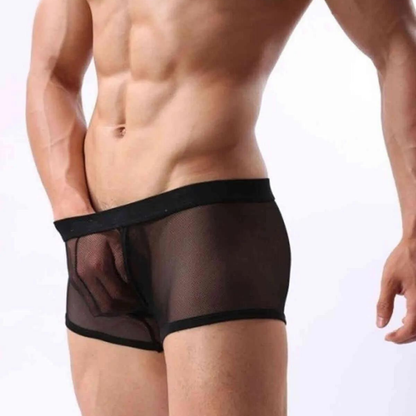 Fantezi Transparan Tül Erkek Boxer Fantezi Tanga